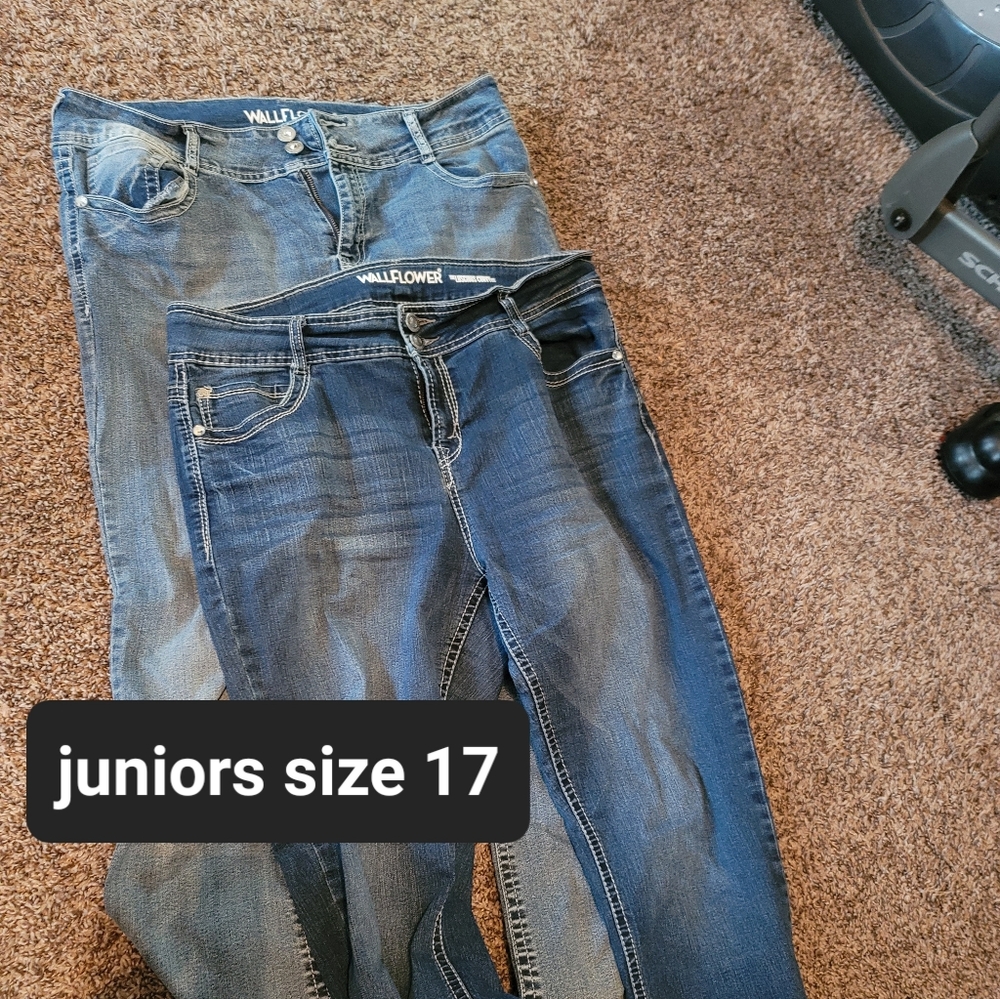 Wallflower brand jeans